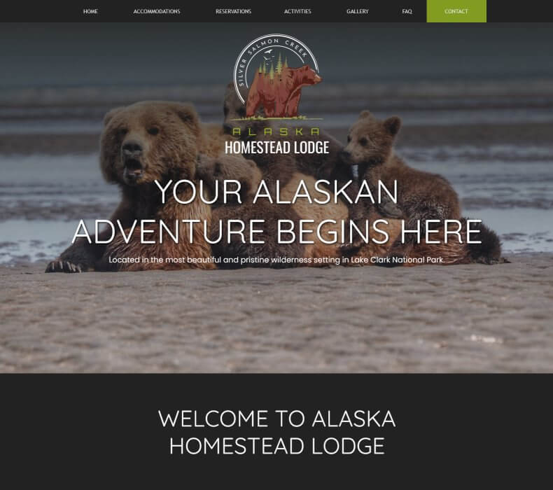 Affordable Website Design