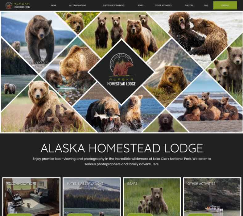 Affordable Website Design