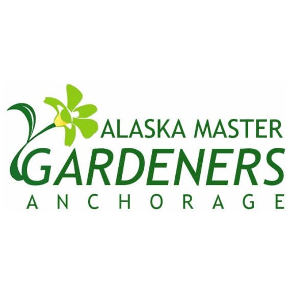 Affordable Logo Design