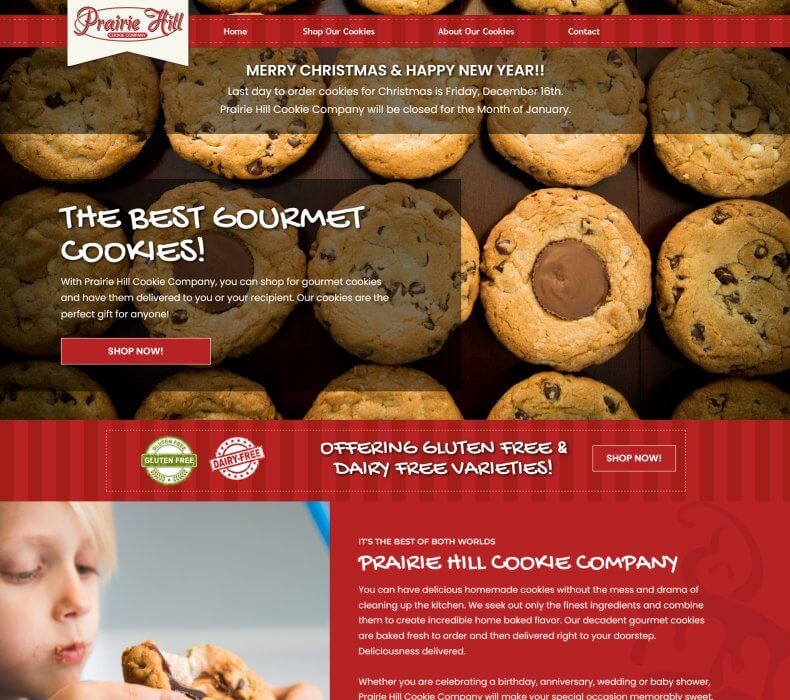 Affordable Ecommerce Website Design